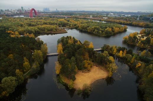 Серебряный бор
